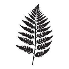 Naklejka premium fern leaves logo vector silhouette illustration, fern leaf logo icon silhouette, bracken fern leaf silhouette vector illustration, black silhouette of a fern leaf on white background.