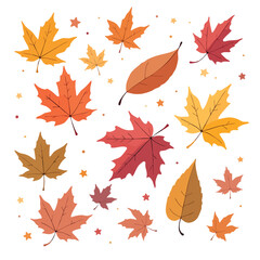 Obraz premium Colorful autumn leaves gently falling in an illustrative pattern, including maple and birch types Great for seasonal backgrounds and decorative projects.