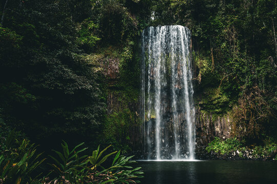 Iconic rainforest waterfall plunging into a natural pool.