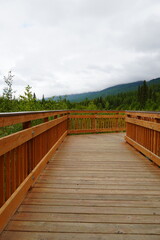 Obraz premium wooden bridge in the forest