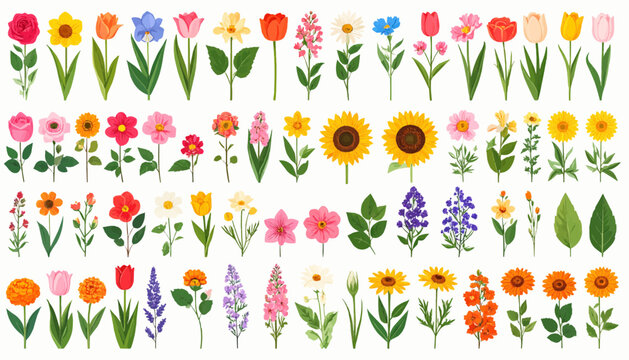 A vibrant flat vector illustration set of assorted blooming garden flowers in neat rows.