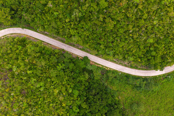 Scenic aerial bird's eye view of a road in Loboc, Bohol, Philippines with jungle 
