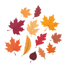 Fototapeta premium Colorful autumn leaves arranged in a cheerful design create a seasonal feeling Perfect for fall decorations or design elements.