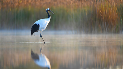 Chef preparing fresh ingredients in a professional kitchen