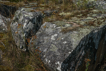 Weathered Stone Blocks with Lichen and Vegetation