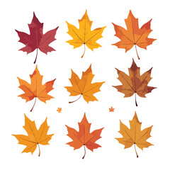 Fototapeta premium Collection of colorful autumn leaves in various shades of red, orange and yellow on a white background, ideal for seasonal designs and creative projects.