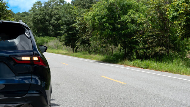 Rear side of dark blue car with turn light signal. Stop or travle to nature on asphalt road. Beside with green forests under bight sky.