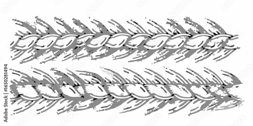 Poster vector two parallel rows of stylized wheat or barley stalks with detailed shading and textured appea
