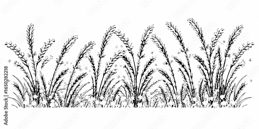 Poster vector illustration of a field of tall grass with seed heads and small star like shapes scattered ar