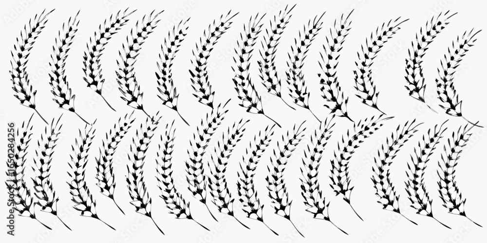 Poster vector illustration of repeated wheat stalks in rows with black ink style on a white background desi