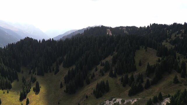 Oi Qaragai Gorge. The view from the drone. Mountainous terrain with different vegetation in the summer.