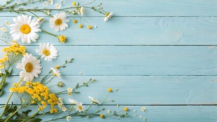 Fototapeta premium Light blue wooden background with white and yellow wildflowers border