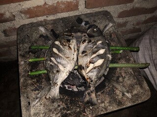 Grilled fish on the grill 
