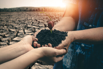 Group of people helping each other in reforestation holding the key to ending the drought crisis.