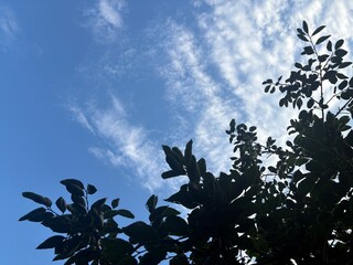 夏の青空