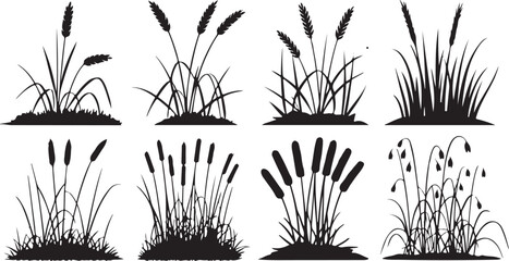 Wheat stalks cattails and reeds grass