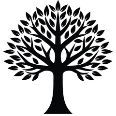 Obraz premium beech tree vector icon