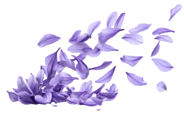 Fotobehang Lavendel Beautiful lavender flower petals are floating in the air  © Anasaiimages