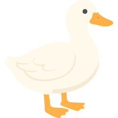 Simple flat vector illustration of a domestic white duck with orange beak and feet, used for farm and education designs.