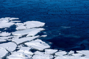 Floating ice floating in the winter sea