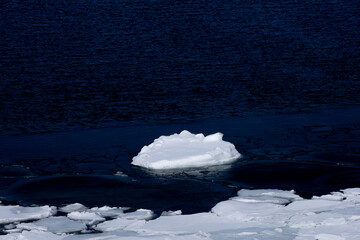 Floating ice floating in the winter sea