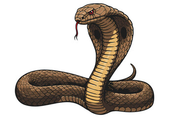 Fototapeta premium Closeup of a Cobra in a Defensive Posture on transparent background