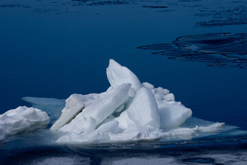Floating ice floating in the winter sea