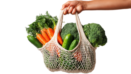 Hand holding a mesh grocery bag filled with assorted fresh vegetables