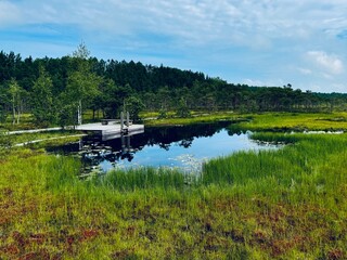 Located in southwestern Estonia, Soomaa National Park, Riisa bog lake in the Soomaa National Park