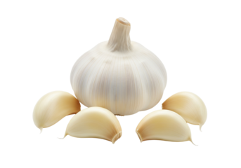 Fresh Garlic Head and Cloves Isolated on Pure White Background – Healthy Cooking Ingredient and Superfood
