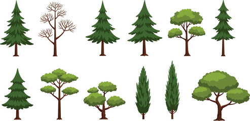 Collection of diverse tree illustrations, evergreen, deciduous, and coniferous varieties, botanical art, seasonal changes, nature elements, forest diversity, landscape design, eco concept