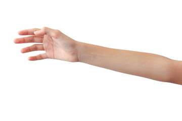 young woman's hands in beautiful poses on white background