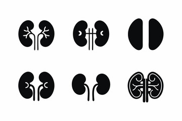 set of Kidney icon vector silhouette illustration isolated on white background