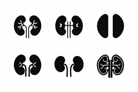 set of Kidney icon vector silhouette illustration isolated on white background