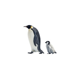 Obraz premium Png of An adult Emperor penguin stands beside its fluffy chick, showcasing the bond between parent and offspring in a wintry setting.
