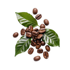 Coffee beans and leaves, a top-down view