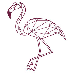 Geometric flamingo outline on white background bird © graphicspro