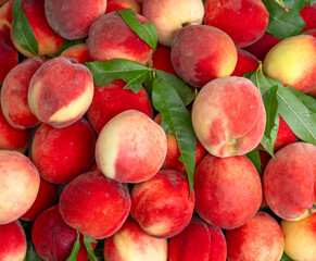 close up on fresh white peach as food background