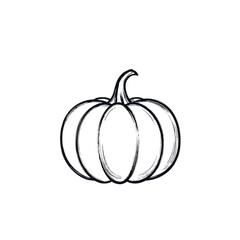 Trendy contour pumpkins continuous line drawing