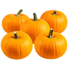 Vector set of orange pumpkins isolated on a white background. 