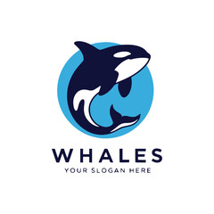 Whale logo template design vector illustration