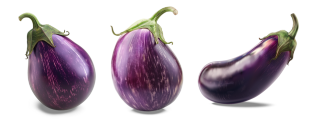 Elegant Eggplant Trio: Showcasing the vibrant beauty of three perfectly ripe eggplants, each boasting a deep, glossy, purple hue and healthy green stems, set against an uncluttered backdrop.