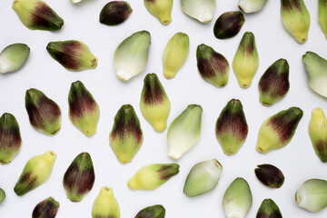 Artichoke petals on white background.