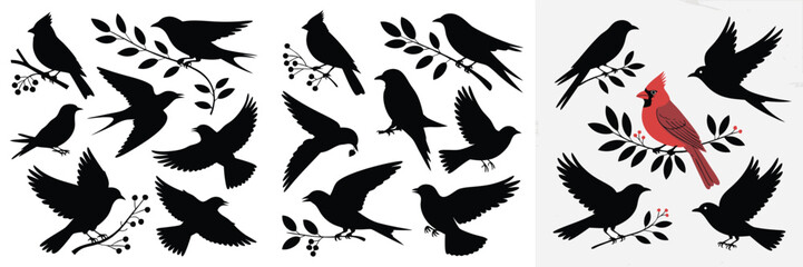 Obraz premium Collection of Bird Silhouettes, Various Poses Including Flying and Perched, One Red Cardinal