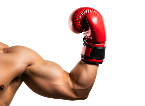Muscular arm flexing with red boxing glove isolated on transparent background