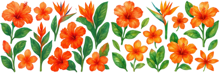Vibrant orange flowers with lush green leaves in a cheerful botanical design.