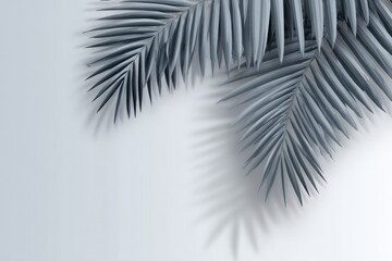 Gray palm fronds cast shadows on a light gray background