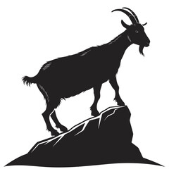 goat on white background