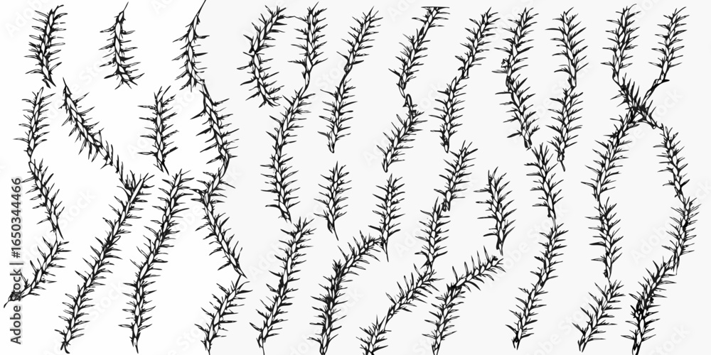 Poster vector arrangement of sketched thorny branches with small leaves scattered across a white background