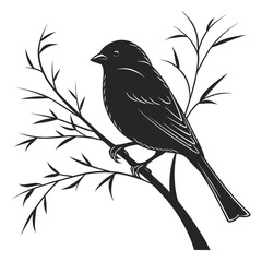 vector illustration of a bird